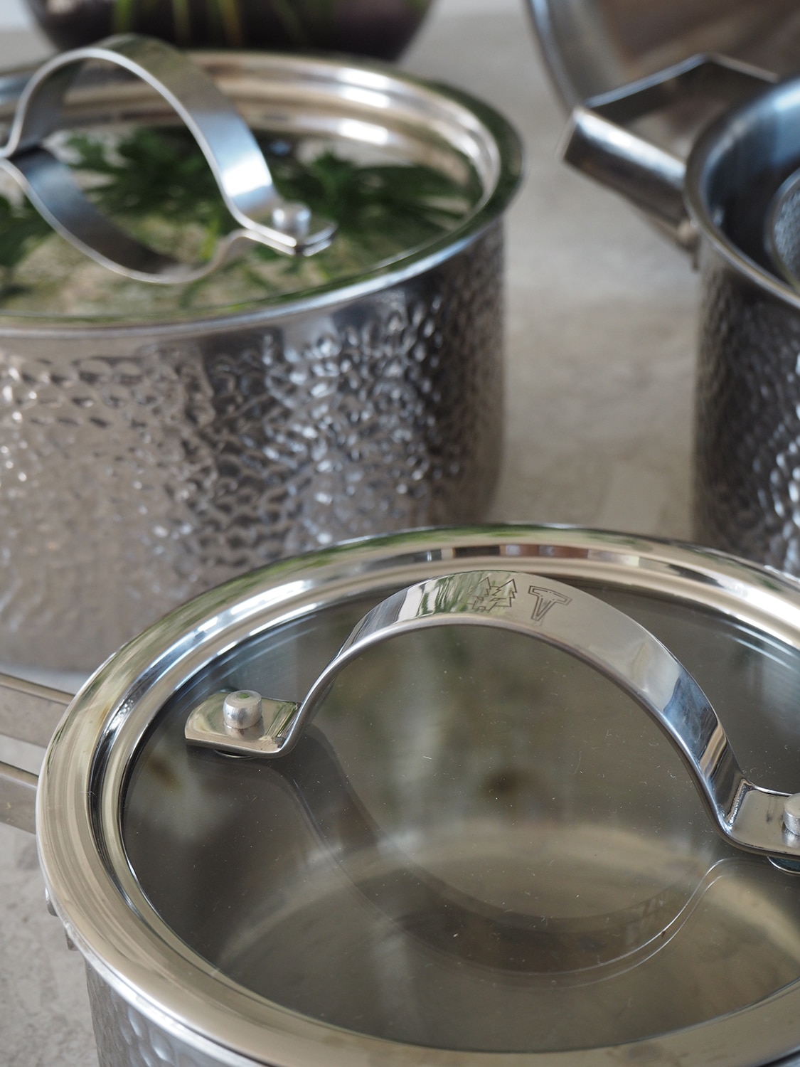 Vargen Thor Kroma Silver Pans 2